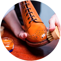 Shoe polishes